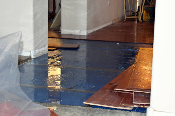 Professional Water Extraction technician working in Shelby, MI